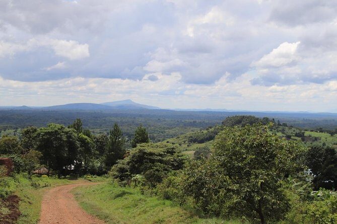 4-Day Gorillas, Wildlife and Chimpanzee Trek at Kalinzu Forest - Practical Aspects You Should Know