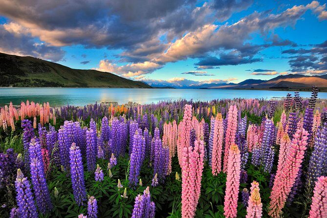 4-Day Great Southern Island Circle Tour from Christchurch - Key Points