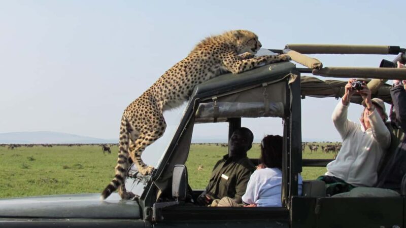 4 Day Group Joining Maasai Mara & Lake Nakuru for flamingos - The Practical Side: What’s Included and What’s Not