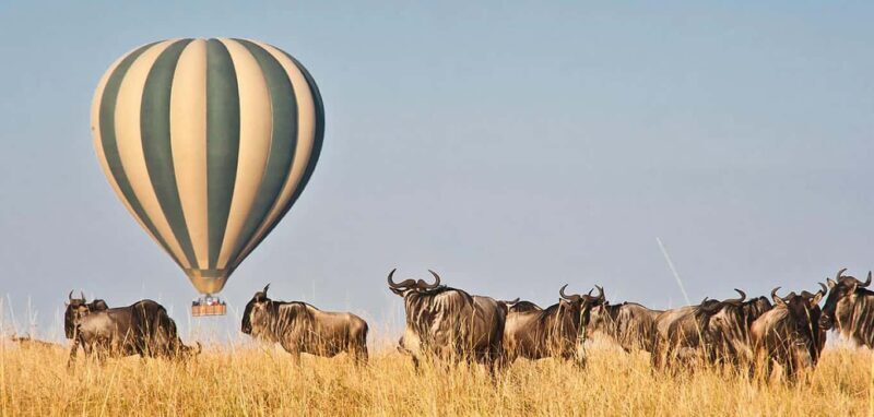 4 Day Group Joining Maasai Mara & Lake Nakuru for flamingos - Authentic Experiences and Authentic Wildlife Encounters