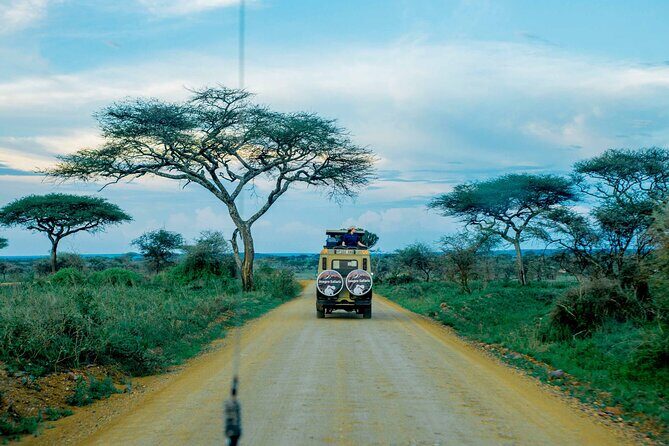4-Day Group Joining Safari in Tanzania | Shared Safari - Practical Details