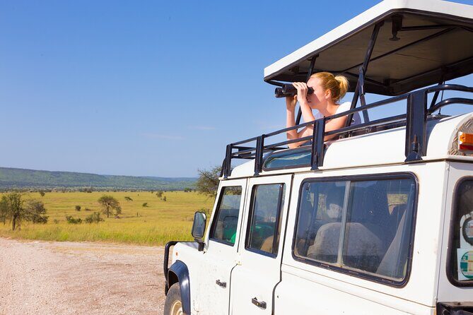 4-Day Group Safari to Tarangire, Serengeti & Ngorongoro Crater - Overview and Initial Impressions