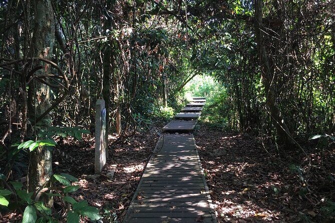 4-Day Jungle Experience in Taman Negara from Kuala Lumpur - Starting Point: Kuala Lumpur to Taman Negara