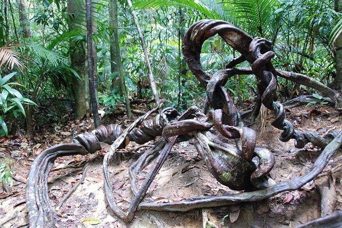4-Day Jungle Experience in Taman Negara from Kuala Lumpur - Day 4: Return to Kuala Lumpur
