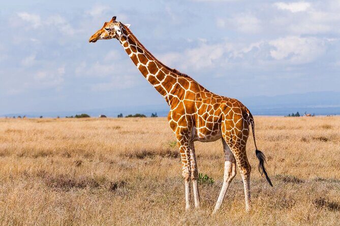 4 Day Kruger National Park and Panorama Tour from Johannesburg - Key Points