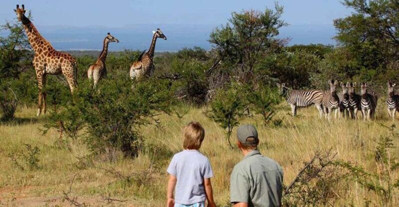 4 Day Kruger National Park Private Safari From Johannesburg - Key Points