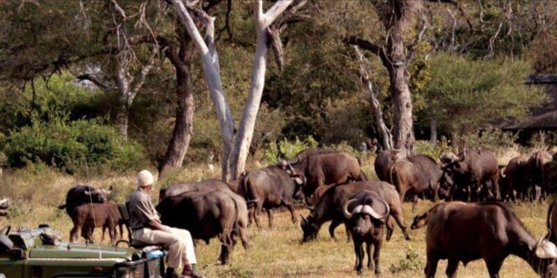 4 Day Kruger National Park Private Safari From Johannesburg - An Introduction to the Experience