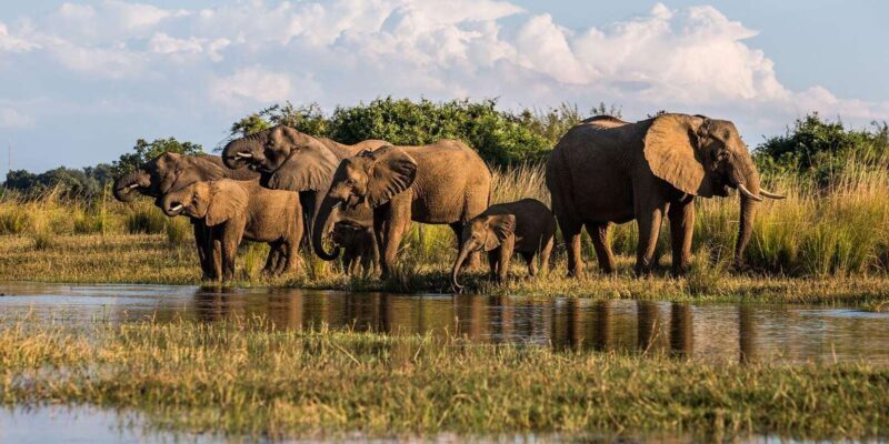 4 Day Kruger National Park Private Safari From Johannesburg - What’s Included and Why It Matters