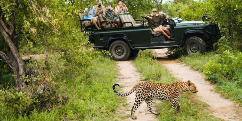 4 Day Kruger National Park Private Safari From Johannesburg - Authentic Encounters and Insights
