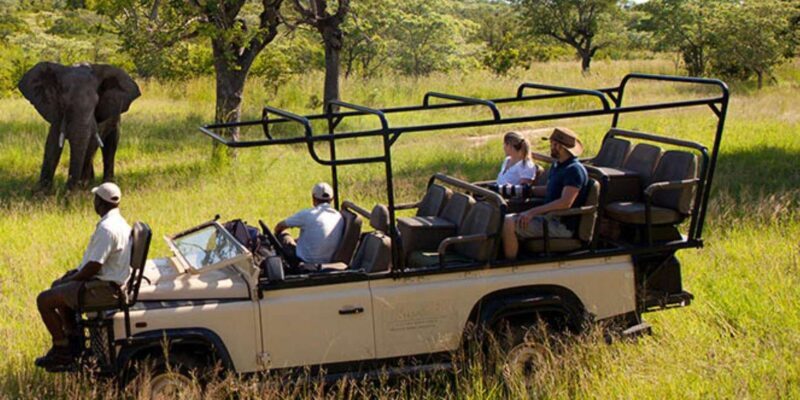 4 Day Kruger National Park Private Safari From Johannesburg - Final Thoughts: Who Will Love This Tour?