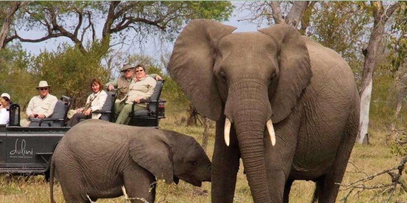 4 Day Kruger National Park Private Safari From Johannesburg - Frequently Asked Questions
