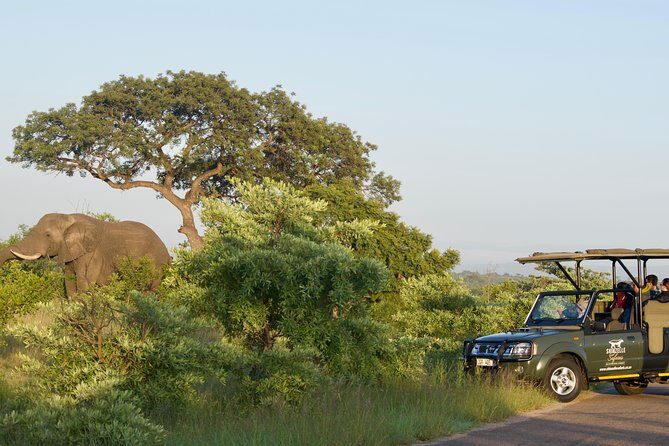 4-Day Kruger National Park Safari including Breakfast and Dinner - Key Points
