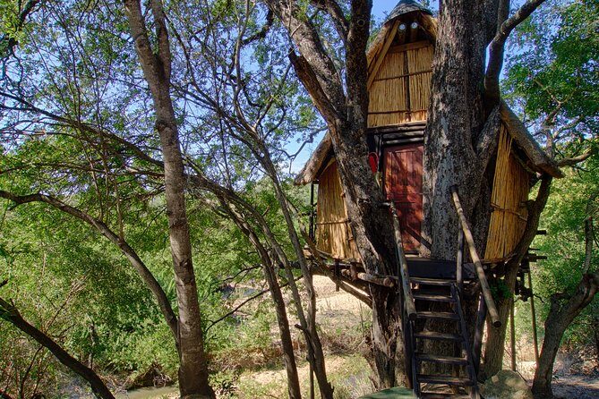 4 Day Lodge and Treehouse Kruger National Park Safari - An In-Depth Look at the 4-Day Kruger Safari
