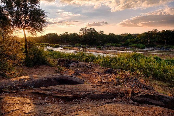 4 Day Lodge and Treehouse Kruger National Park Safari - Summary of the Experience