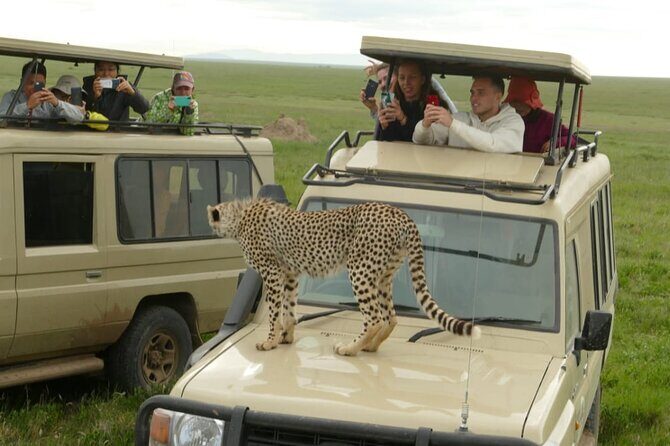 4-Day Lodge Private Tour to Tarangire, Serengeti and Ngorongoro - FAQ