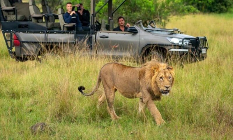 4-Day Luxury Wildlife Adventure in Rwanda - Who Should Consider This Tour?
