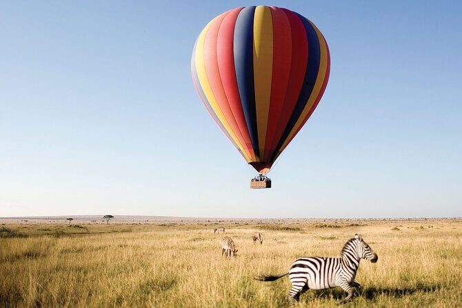 4-Day Manyara Serengeti and Ngorongoro Wonders Budget Safari Tour - An Overview of the Experience