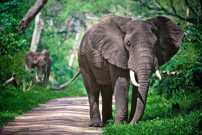 4-Day Manyara Serengeti and Ngorongoro Wonders Budget Safari Tour - In Summary