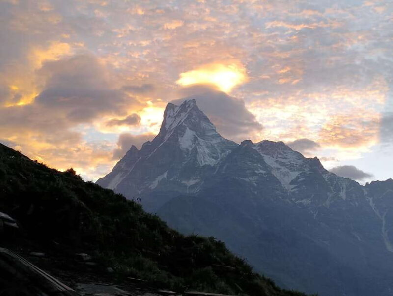 4 Day Mardi Himal Trek with 2 Day Chitwan Jungle Safari Tour - The Wildlife and Wilderness of Chitwan