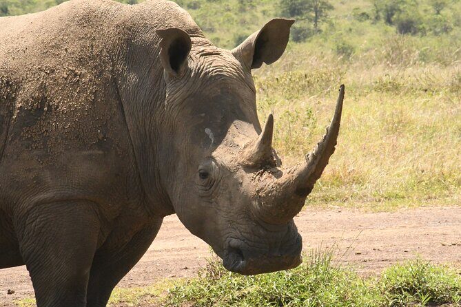 4-Day Masai Mara and Lake Nakuru safari from Nairobi. - FAQs