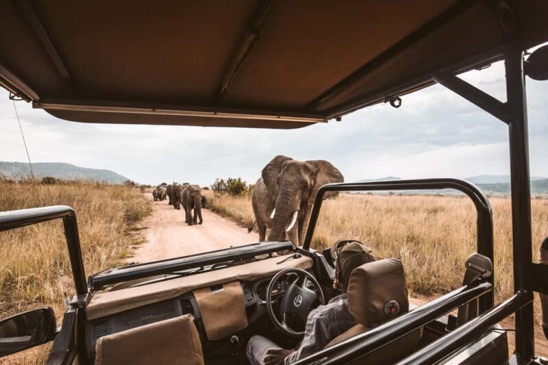 4-Day Masai Mara and Lake Nakuru safari from Nairobi - The Practical Aspects