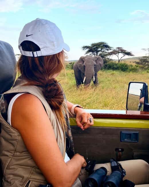 4-Day Masai Mara and Lake Nakuru Trip - Who Will Love This Tour?