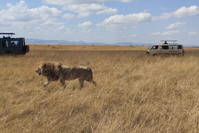 4-Day Masai Mara, L Naivasha and L Nakuru Safari - An In-Depth Look at the 4-Day Safari