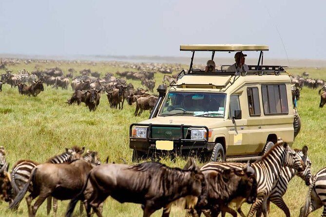 4 Day Masai Mara & Lake Nakuru Group Joining Camping Safari - Daily Departures - A Closer Look at the Itinerary