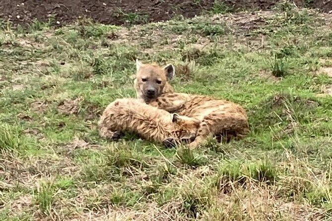 4-Day Masai Mara - Luxury Private safari (JEEP) - Final Thoughts