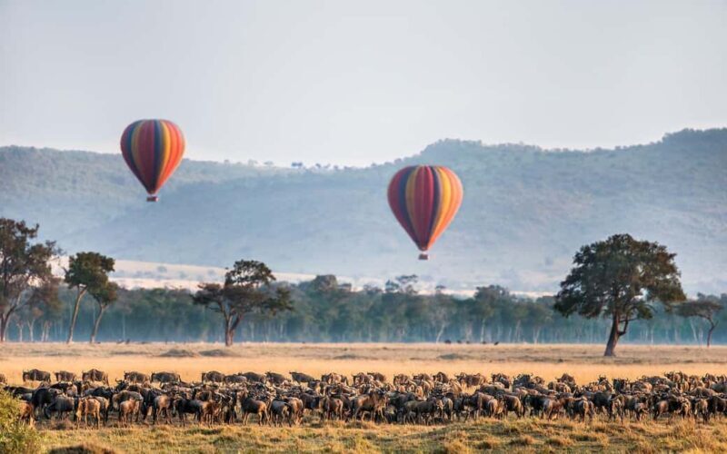 4-day Masai Mara safari combined with a hot air balloon ride - An In-Depth Look at the Safari Experience