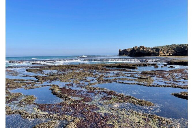 4 Day Mornington Peninsula Treks - An In-Depth Look at the 4-Day Itinerary