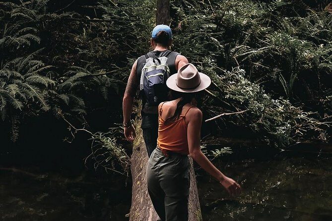 4 Day Mornington Peninsula Treks - Final Thoughts: Who Will Love This Tour?
