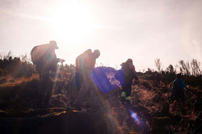 4-Day Mount Kenya: Chogoria-Sirimon Route Exhilarating Hike. - Important Tips for Hikers
