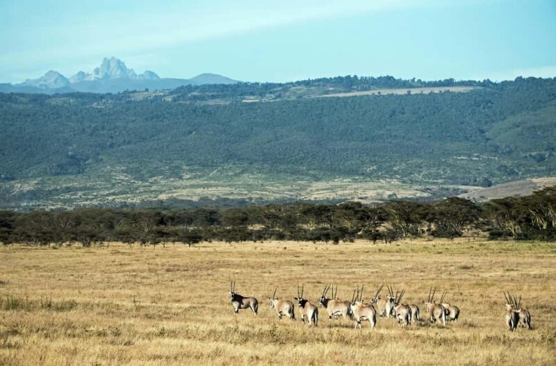 4-Day Mount Kenya: Chogoria-Sirimon Route Exhilarating Hike. - Who Should Consider This Tour?