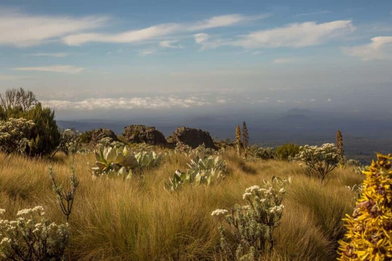 4-Day Mount Kenya: Chogoria-Sirimon Route Exhilarating Hike. - FAQ