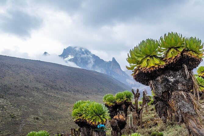 4 Day Mount Kenya Trek Up Chogoria Down Sirimon - FAQ