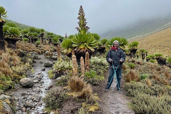 4-Day Mount Kenya Trekking with Pick Up - Frequently Asked Questions