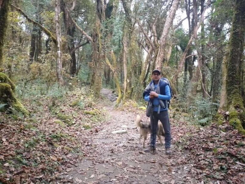 4-Day Mulde ,Poon Hill Trek Itinerary (Children-Friendly) - Authentic Experiences and Practical Tips