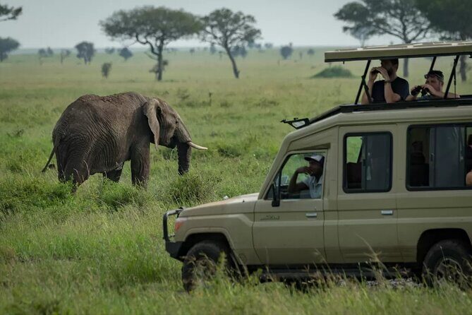 4 Day Ngorongoro Crater Tarangire and Serengeti National Park - FAQ