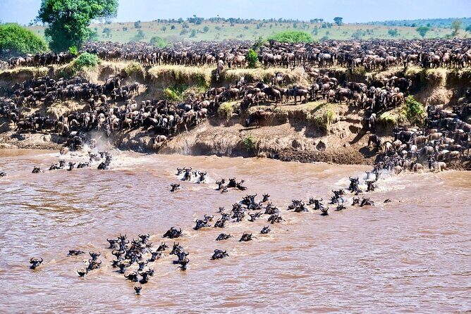 4-Day Northern Tanzania Camping Tour Safari - What the Tour Includes (and What It Doesnt)