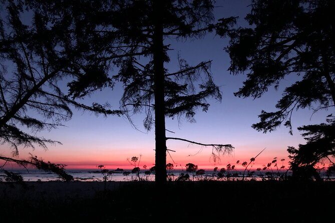 4-Day Olympic Backpacking Tour in North Coast - Exploring the Itinerary in Detail