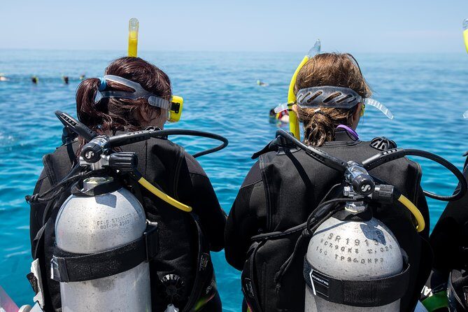 4-Day PADI Open Water Dive Course - Learn to Dive on the Great Barrier Reef - Final Thoughts: Who Will Benefit Most?