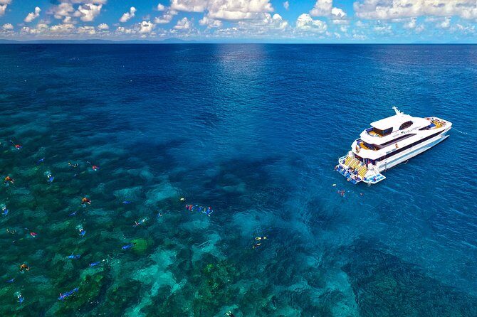 4-Day PADI Open Water Dive Course - Learn to Dive on the Great Barrier Reef - FAQ
