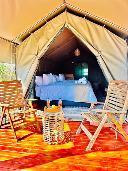 4-Day Pilanesberg Tlou En-Suite Tented Safari - Setting the Scene: What to Expect from Your Safari Adventure