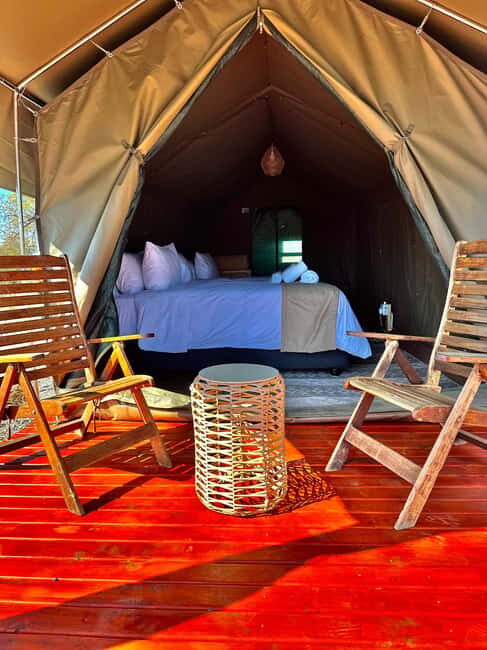 4-Day Pilanesberg Tlou En-Suite Tented Safari - Practical Details and Considerations