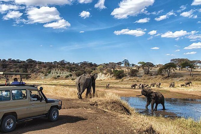 4 Day Private Camping Safari in Serengeti,Ngorongoro and Tarangire National Park - The Experience: A Detailed Breakdown
