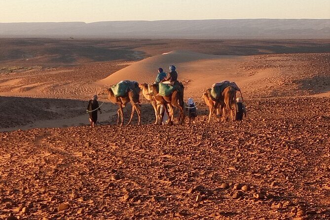 4 Day Private Desert Trek from M'Hamid to Chegaga - A Closer Look at the Morocco Sahara Trek