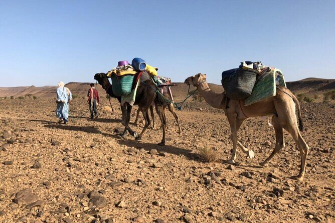 4 Day Private Desert Trek from M'Hamid to Chegaga - What’s Included and What’s Not