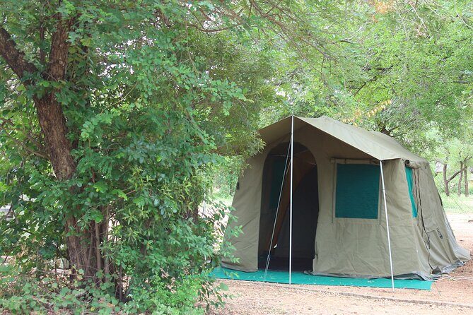 4 day Private Kruger Under Canvas Safari - What Makes This Safari Stand Out?