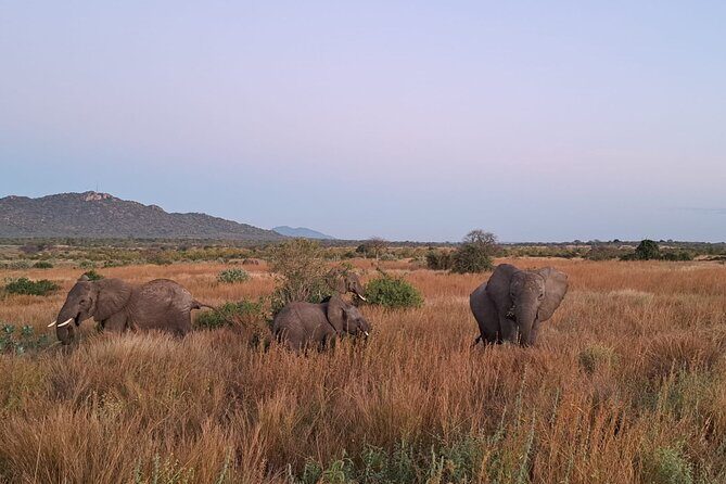 4-Day Private Lake Natron and Serengeti Wildlife Safari - Final Thoughts: Who Will Love This Safari?